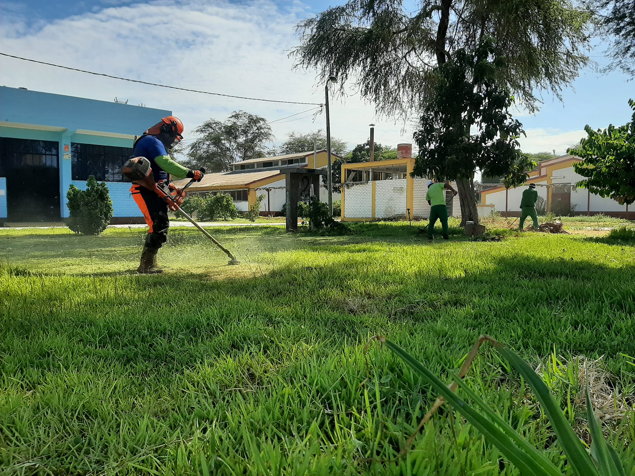 Recuperación de las áreas verdes en la Ciudad Universitaria. – Noticias